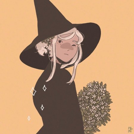 Ведьминская шляпа референс