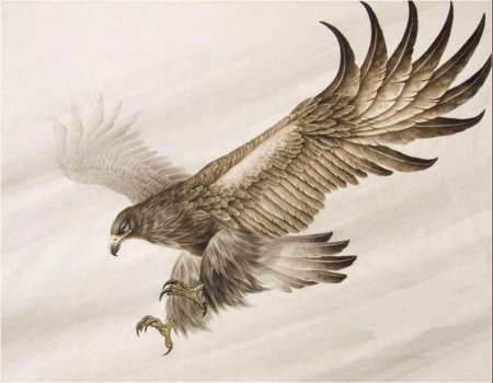 Ястреб китайская живопись