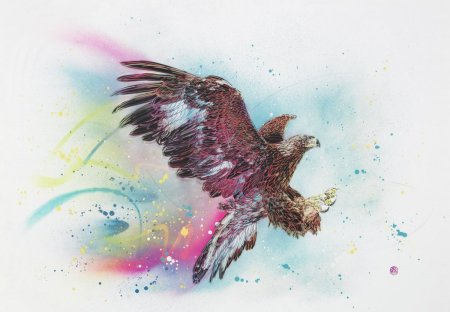 Орел красками