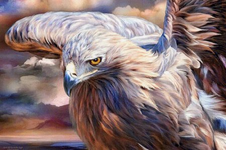 Орёл Сокол Беркут в живописи маслом