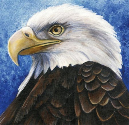 Орел гуашью
