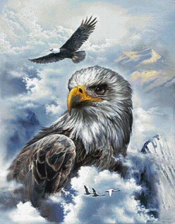 Белоголовый Орлан живопись
