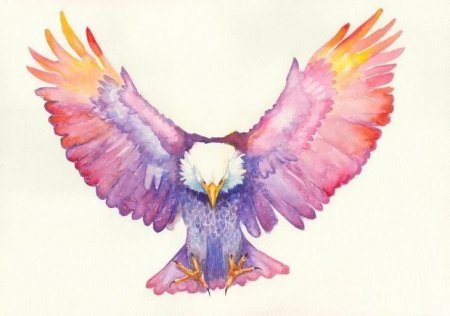 Крылья акварель