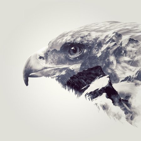 Орел эскиз реализм