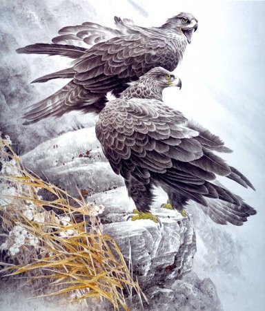 Хищные птицы в живописи