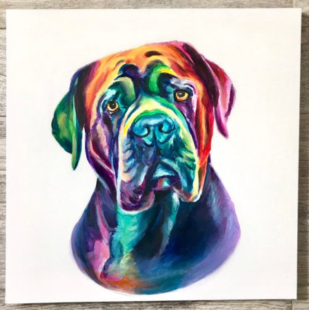 Кане Корсо акварелью