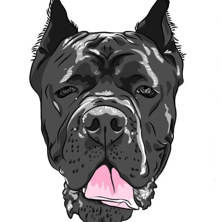 Кане Корсо собака vector