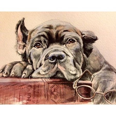 Картина Кане Корсо