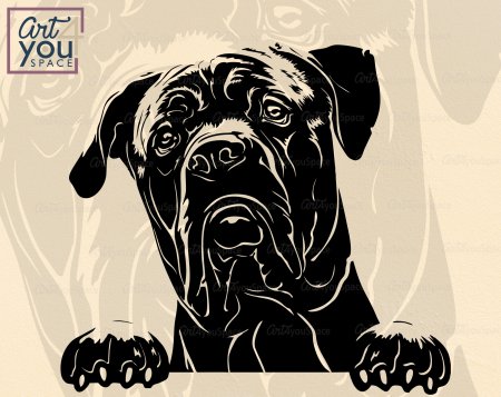 Кане Корсо вектор