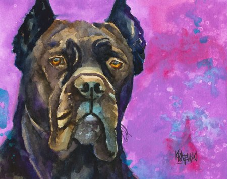 Кане Корсо портрет