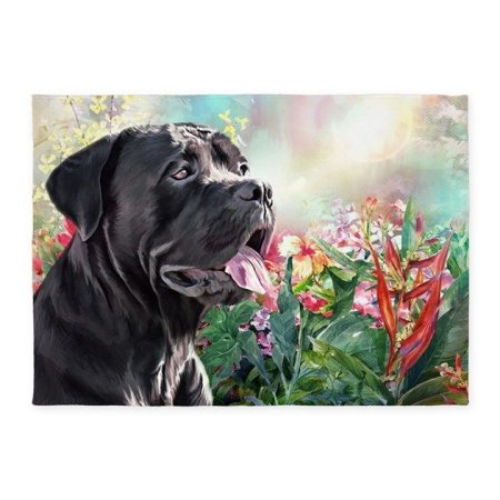 С днем рождения Кане Корсо