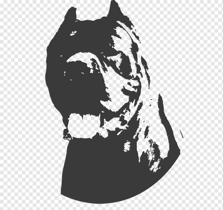 Ротвейлер рисунок карандашом