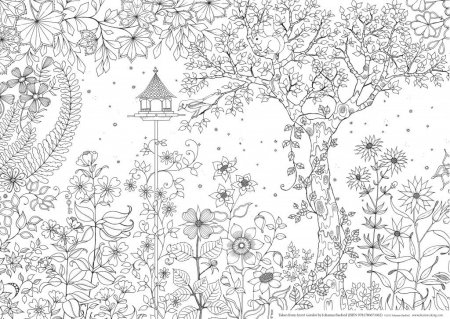 Бэсфорд Джоанна "мир цветов"