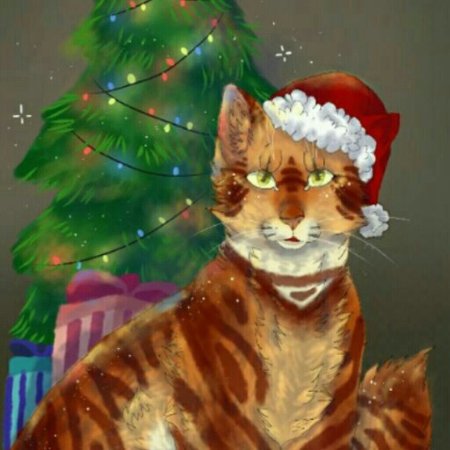 Коты Воители новый год