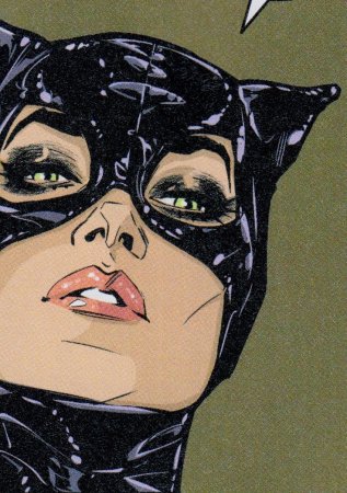 Поп арт Catwoman Batman