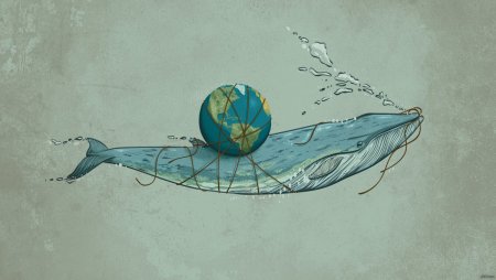 Кит абстракция