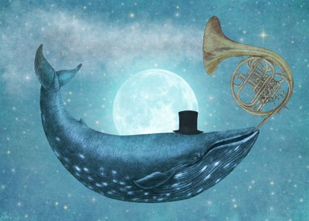 Спокойный кит