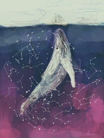 Летающие киты Эстетика