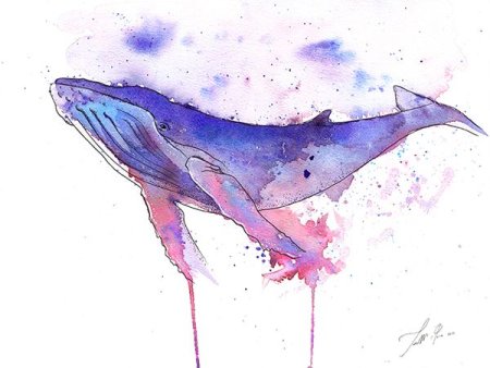 Синий кит референс