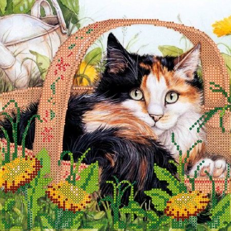 Картины кошки Дебби Кук