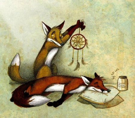 Лисы арт Culpeo Fox