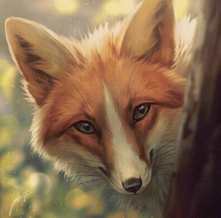 Johanna Tarkela арты лиса