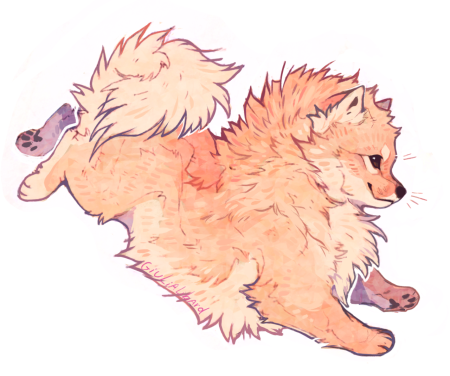 Померанский шпиц референс