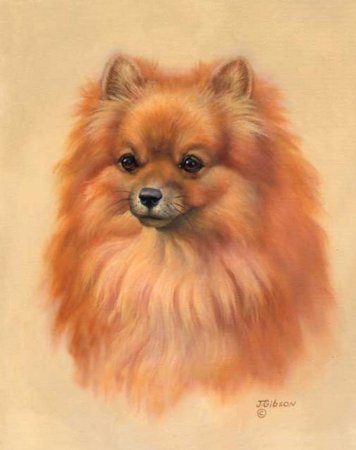 Шпиц Моника