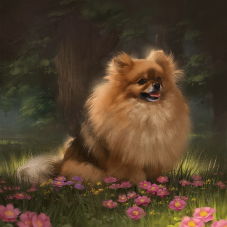 Шпиц померанский Art