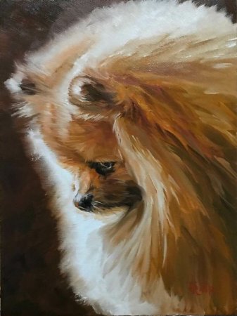 Шпиц померанский Art