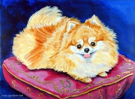 Померанский шпиц рисунок