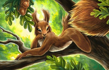 Фурри белка