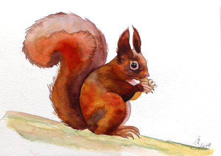 Белка мульт акварель