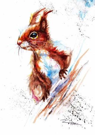 Белка арт