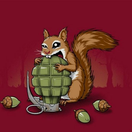 Белка с гранатой