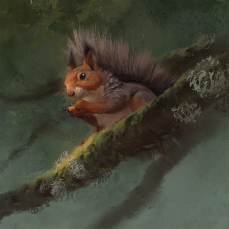 Белка на ветке