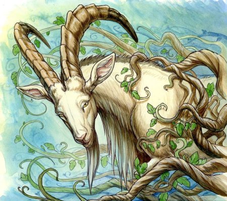 Capricorn (Козерог)