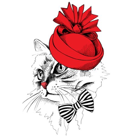 Стильная кошка в шляпке