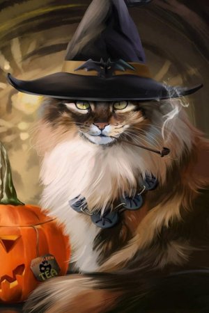 Кляп для кошек