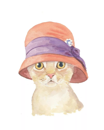 Кошка в шляпе