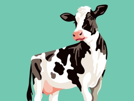 Корова чёрно белая