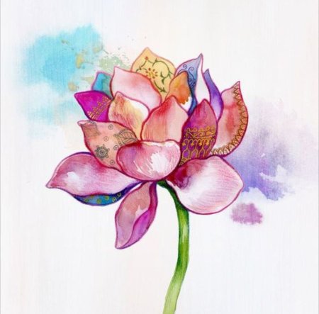 Лотос блоссом арт