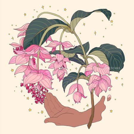 Мединилла Корея акварель