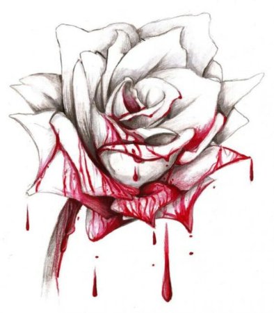 Цветы арт на прозрачном фоне