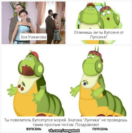 Мемы про Вупсеня и Пупсеня