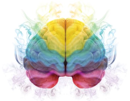 Мозг и эмоции