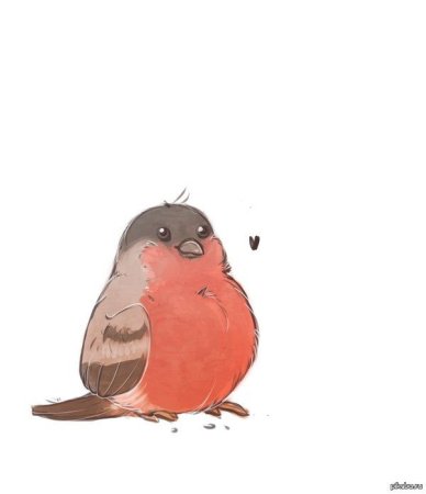 Милый Снегирь