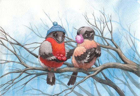 Снегирь рисунок