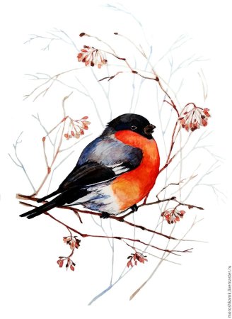 Художница Мария Павлова Снегири