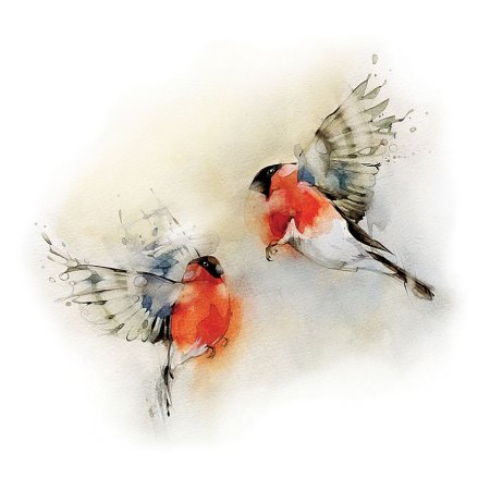 Снегирь акварель